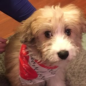 Meet your Posher, Cindy